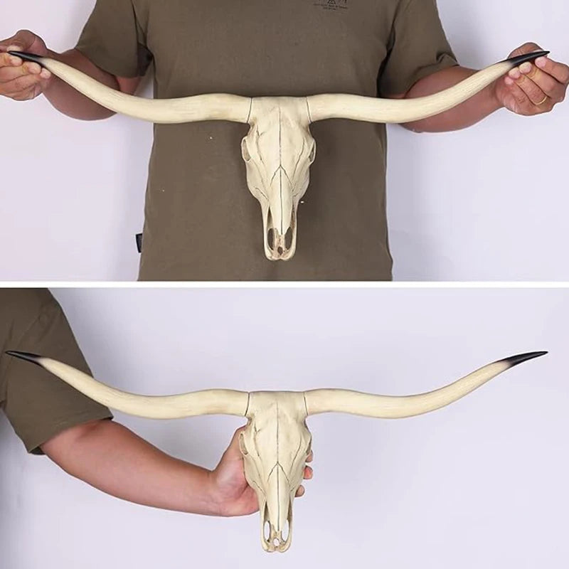 Modern Bull Head Wall Hanging Decoration, Built-in Hanging Design, Realistic  Longhorn Skull
